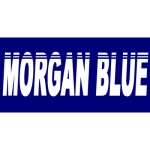 Morgan Blue